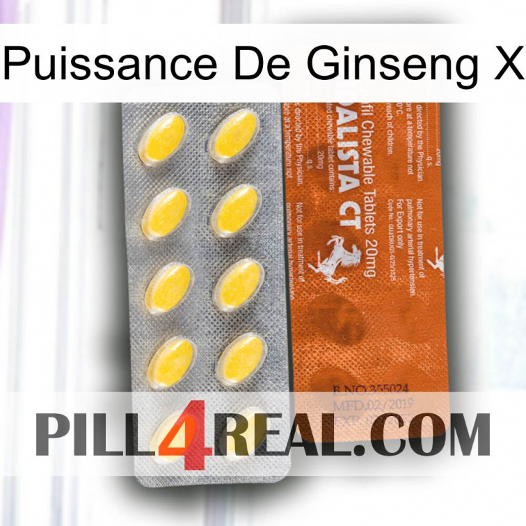 Ginseng Power X 42